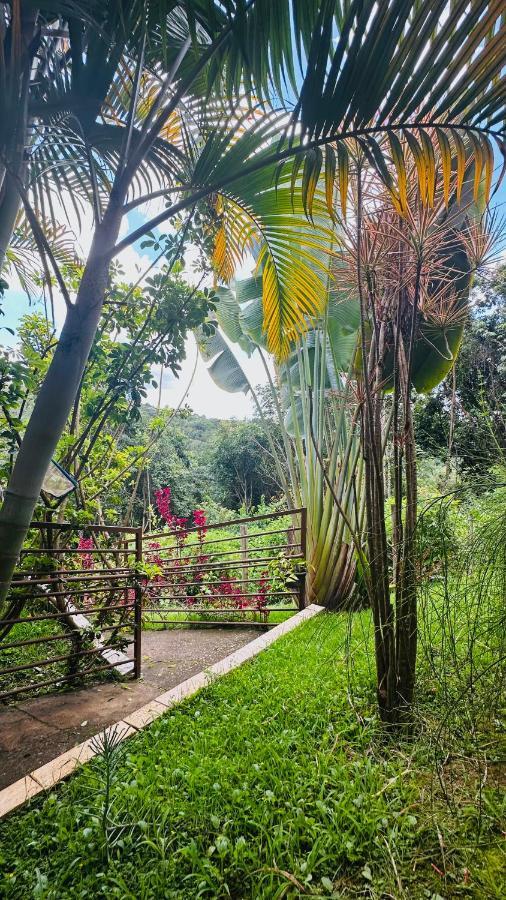 Macaco Prosa Otel Macacos  Dış mekan fotoğraf